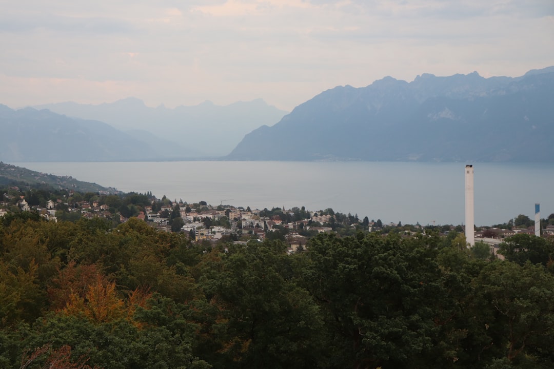 a large body of water surrounded by trees